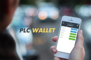 портфолио | Портфолио 13